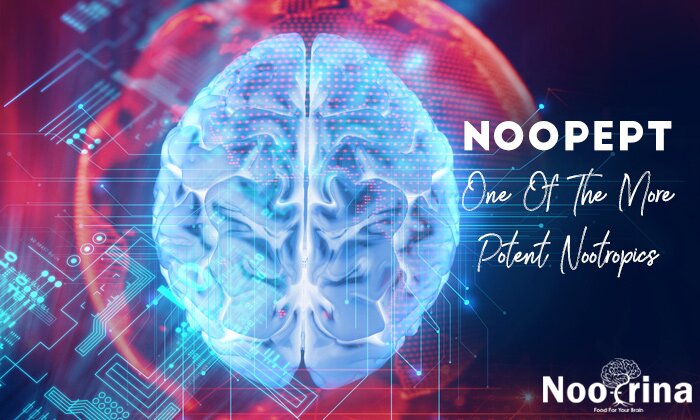 Noopept Review – The Power of Super Nootropic