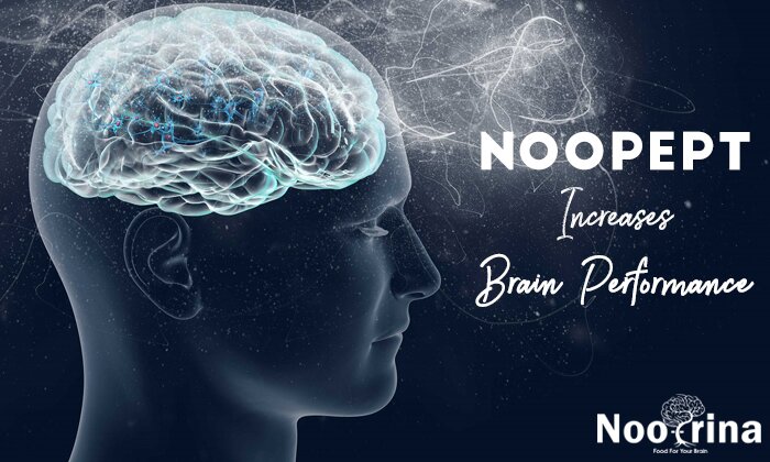 Noopept Increases Brain Performance