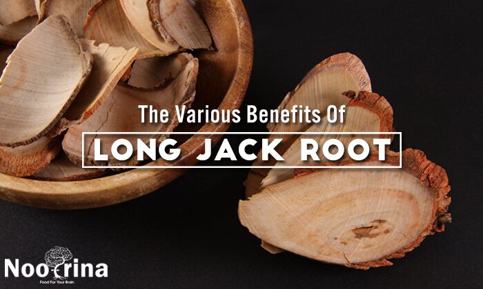 Benefits of Long Jack Root