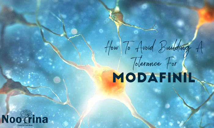 Building a Tolerance for Modafinil