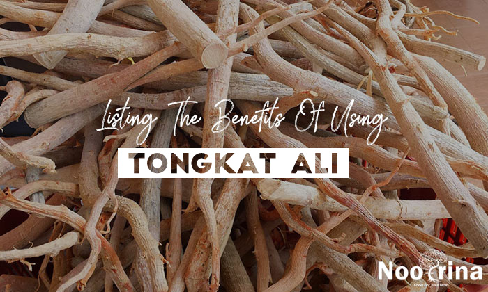 Good and Bad of Using Tongkat Ali