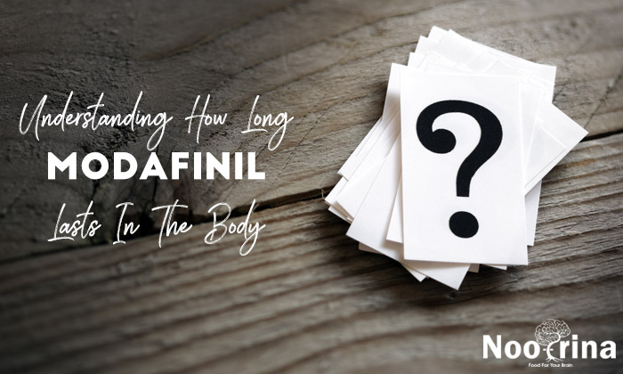 How Long Does Modafinil Last
